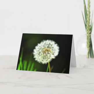 Cartão Dandelion Greeting Card, Blank Inside