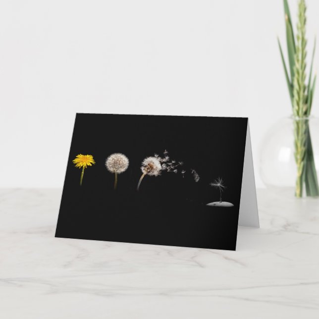 Cartão Dandelion Life Cycle Greeting Card (Frente)