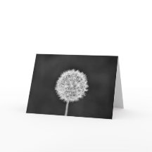 Dandelion - Noir, placa