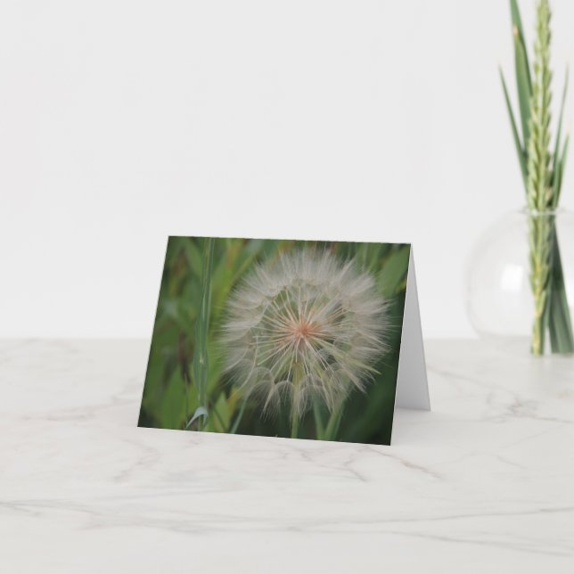 Cartão Dandelion notecards (Frente)