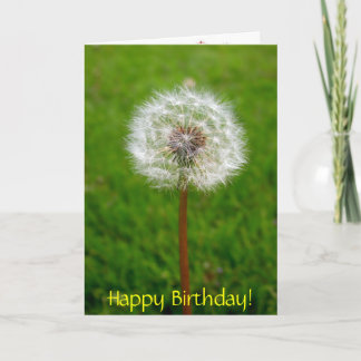 Cartão Dandelion Puff, Happy Birthday!