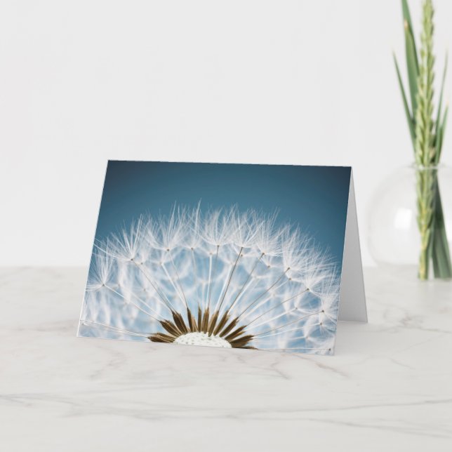 Cartão Dandelion Seeds (Frente)