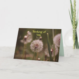 Cartão Dandelion Thinking of You Card
