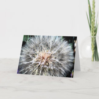 Cartão Dandelion Whisps Greeting Card