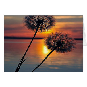Cartão Dandelions