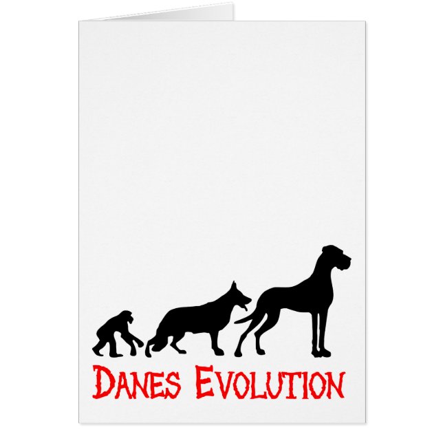 Cartão Danes Evolution (Frente)