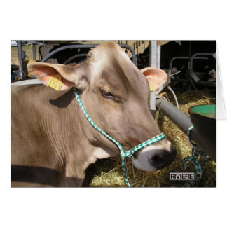 Cartão d'Aquitaine louro