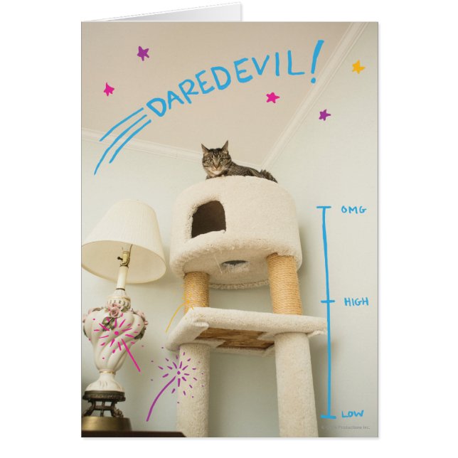 Cartão Daredevil Cat (Frente)