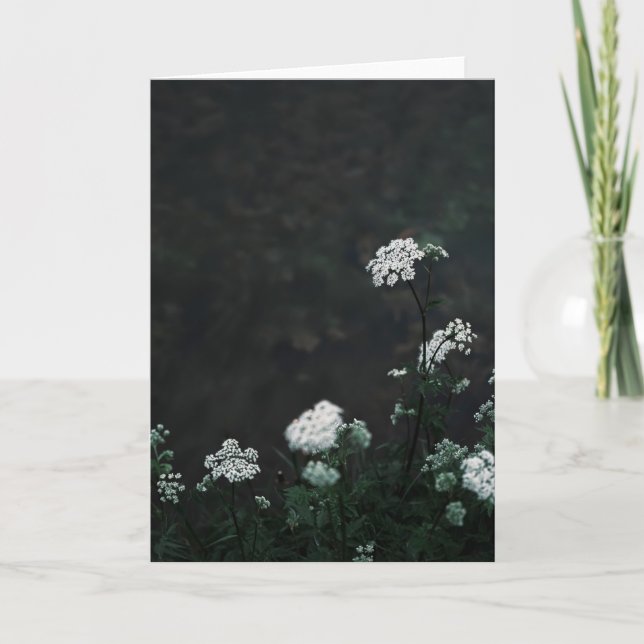 Cartão Dark and moody meadow, Sympathy (Frente)