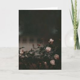 Cartão Dark and moody roses in garden Sympathy
