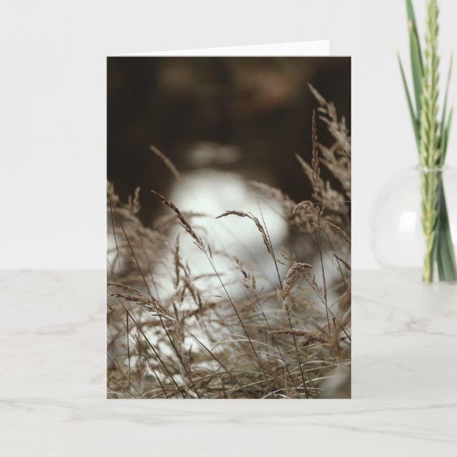 Cartão Dark brown and moody grass in wind, Sympathy (Frente)