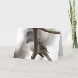 Cartão Dark-eyed Junco Greeting Card