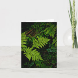 Cartão Dark green moody nature theme with ferns