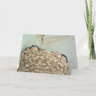 Cartão das andorinhas de celeiro do bebê