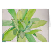 Das "cartão galinhas e dos pintinhos"