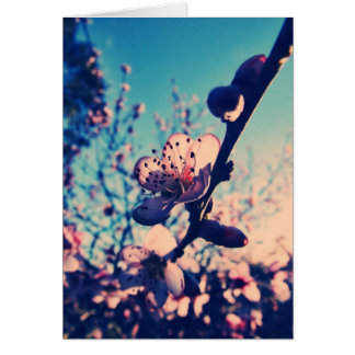 Cartão das flores de Lomo do primavera