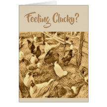 CARTÃO DAS GALINHAS DE CLUCKY
