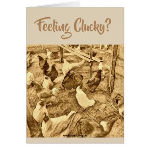 CARTÃO DAS GALINHAS DE CLUCKY