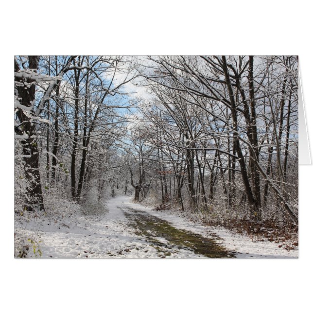 Cartão das maravilhas do inverno (Frente Horizontal)