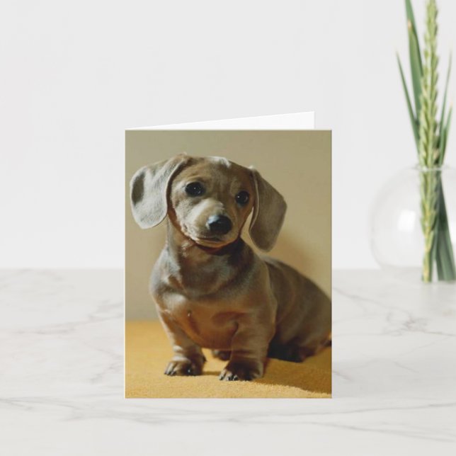 Cartão Daschund note cards (Frente)