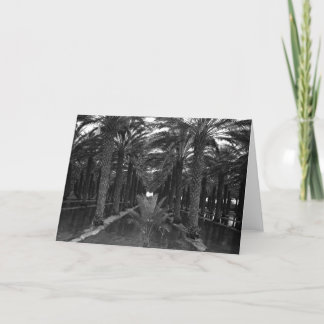 Cartão Date Palm Grove during Irrigation, 1966