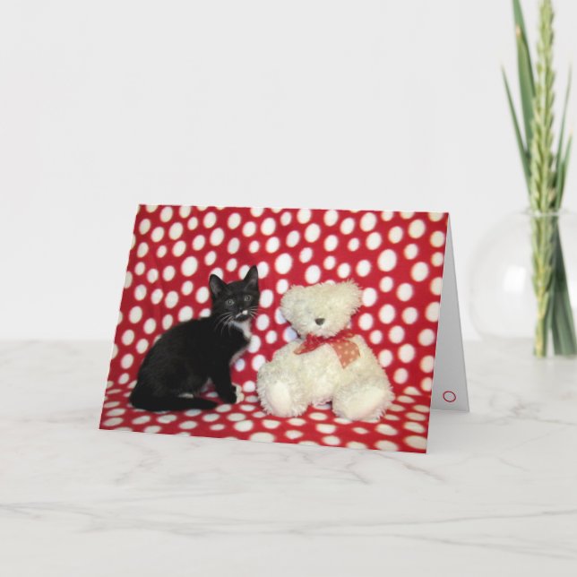 Cartão Davina, o Gato e o Urso de Teddy (Frente)