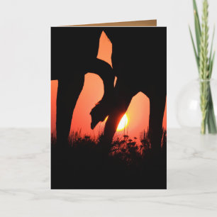 Cartão Dawn Touch Wilse Horse Greeting Card