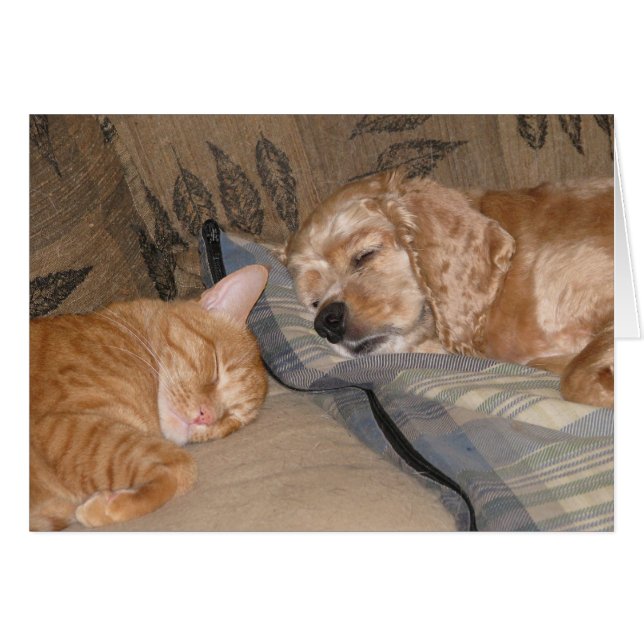 Cartão Dax e Chance Share (Frente Horizontal)