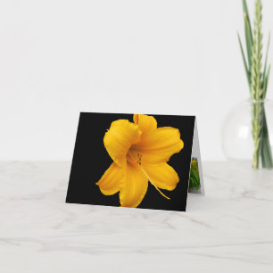 Cartão Day Lily Note Card