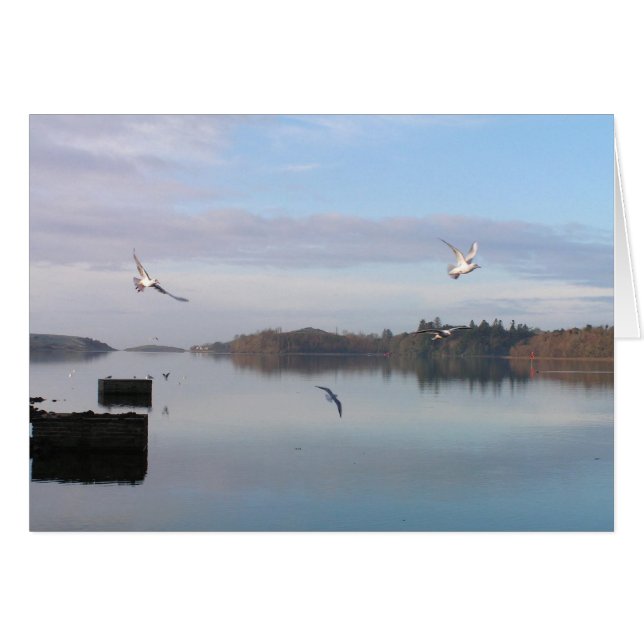 CARTÃO DAYBREAK, DONEGAL BAY (Frente horizontal)