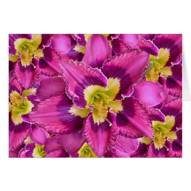Cartão Daylily 'Catcher InThe Eye' (Frente Horizontal)