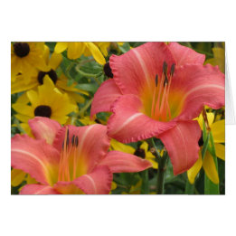 Cartão Daylily e Rudbeckia Combo