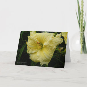 Cartão Daylily Flower / Pastel Lemon Cream Yellow /