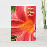 Cartão Daylily Lily / Cherry Red / Birthday For Mother<br><div class="desc">This birthday card for Mom features a photo of a beautiful cherry red daylily with an apricot throat and white midrib stripes on the petals. This daylily cultivar was registered with the American Hemerocallis Society in 1972 as 'Cherry Lace' and was hybridized by Gilbert H. Wild. The color is described...</div>