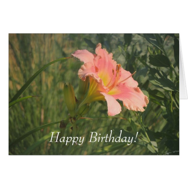 Cartão Daylily no Sol (Frente Horizontal)