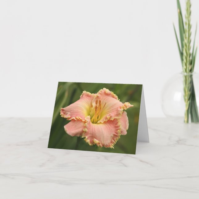 Cartão Daylily Note Card (Frente)
