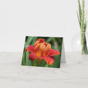 Cartão Daylily Note Card