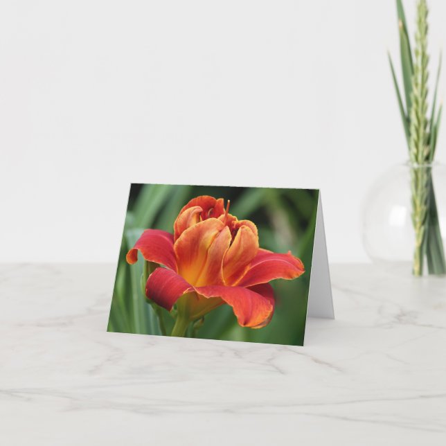 Cartão Daylily Note Card (Frente)