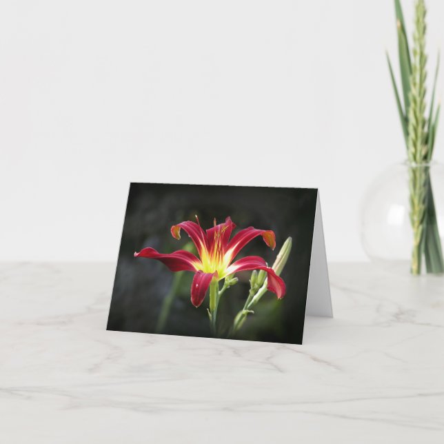 Cartão Daylily Note Card (Frente)