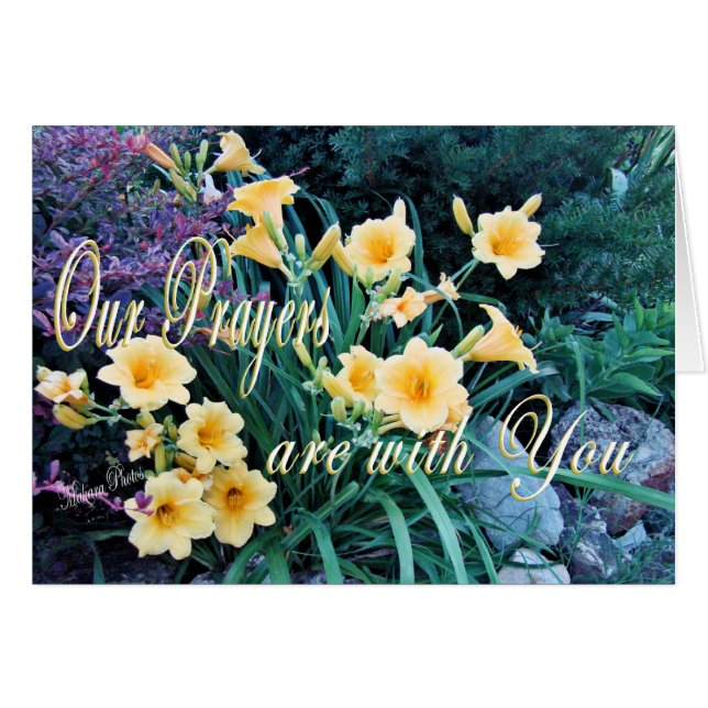 Cartão DayLilyPrayer Cartão-personaliza (Frente Horizontal)