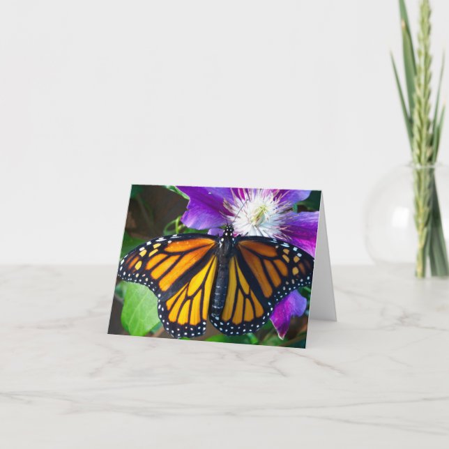 Cartão Dazzling Butterfly Note Card (Frente)