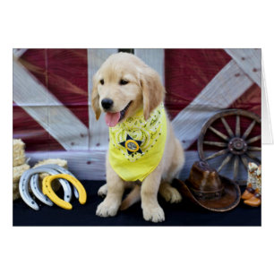 Cartão de Abby do vaqueiro