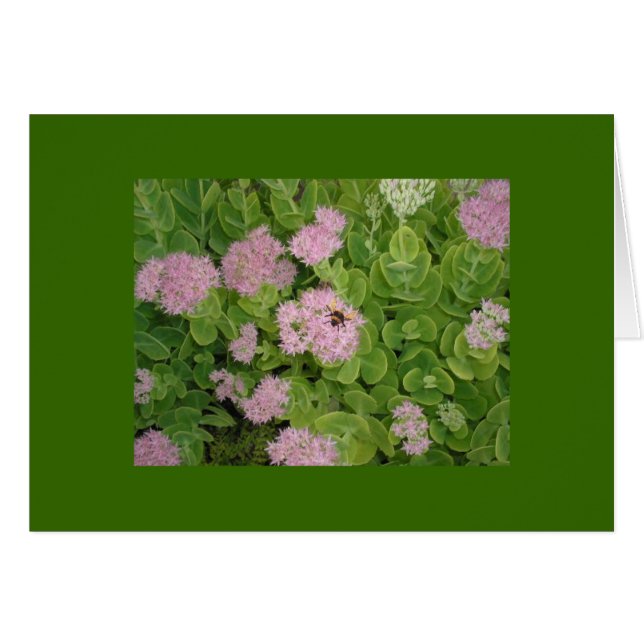 cartão de abelha (Frente horizontal)