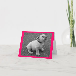 Cartão de Abertura em Branco com Cachorrinho Bulld