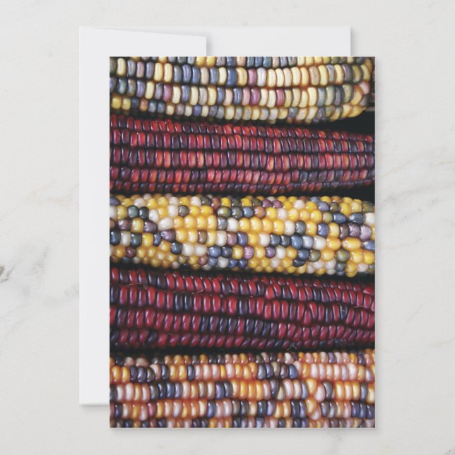 Cartão de Ação de Graças 5x7 (Frente)