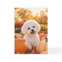 Cartão de Ação de Graças Bichon Frise
