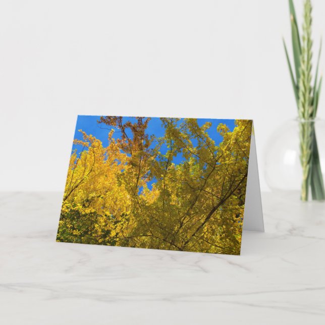 Cartão de Ação de Graças e Queda 3 (Frente)