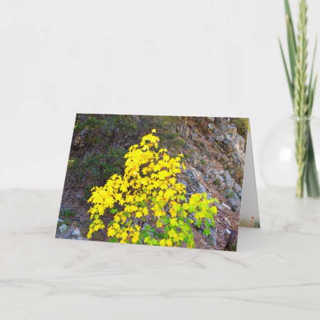 Cartão de Ação de Graças e Queda 4 (Frente)