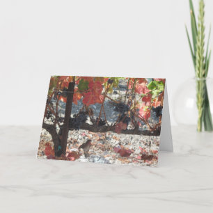 Cartão de Ação de Graças: Hummingbird no Vineyard