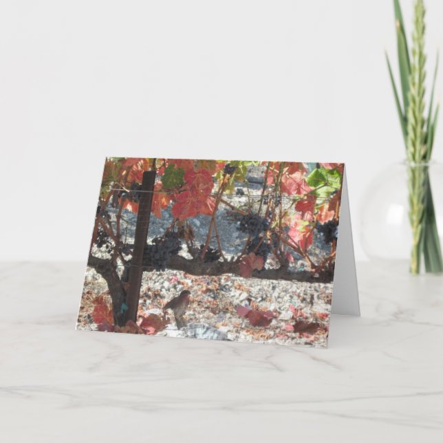 Cartão de Ação de Graças: Hummingbird no Vineyard (Frente)